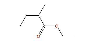 Ethyl 2-methylbutanoate